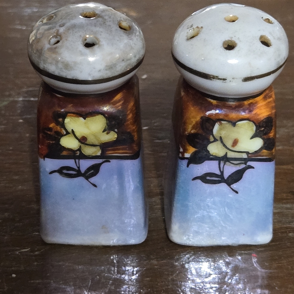 Floral Ceramic Salt and Pepper Shakers, Vintage